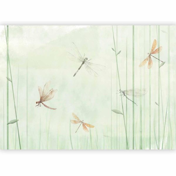 Papier peint - Dragonflies in the Meadow