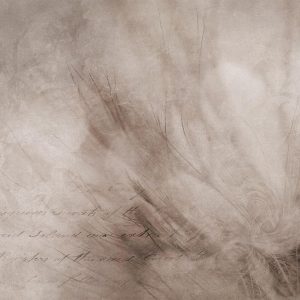 Papier peint - Abstract scandi boho - delicate composition with lettering and flowers
