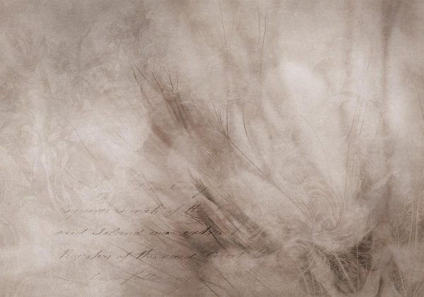 Papier peint - Abstract scandi boho - delicate composition with lettering and flowers
