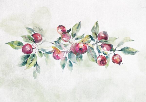 Papier peint - Apple branch - landscape with a plant and red apples on a white background