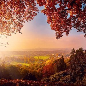 Papier peint - Autumn delight - sunny landscape with countryside surrounded by trees and fields