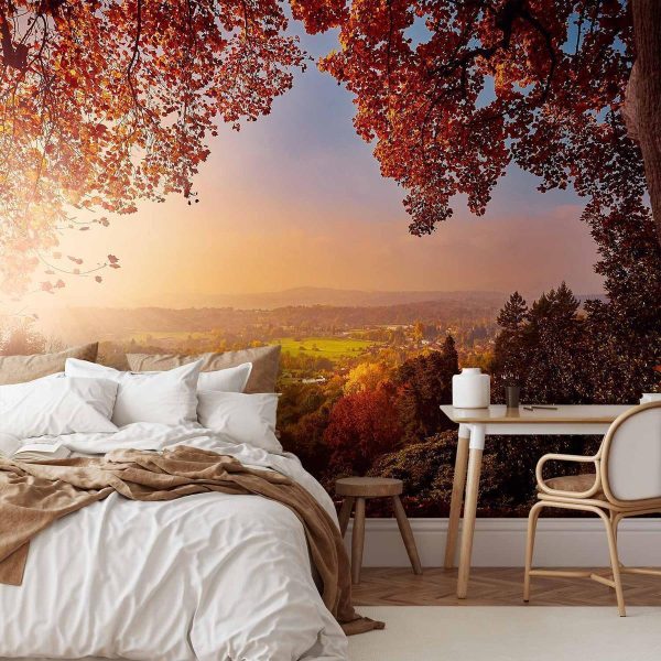 Papier peint - Autumn delight - sunny landscape with countryside surrounded by trees and fields Papier peint - Autumn delight - sunny landscape with countryside surrounded by trees and fields