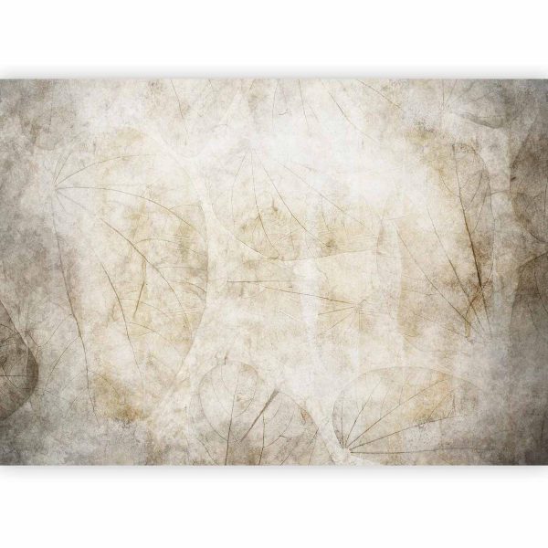 Papier peint - Beige murmurs