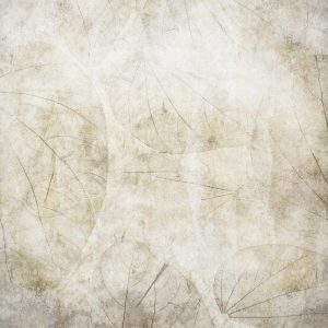 Papier peint - Beige murmurs