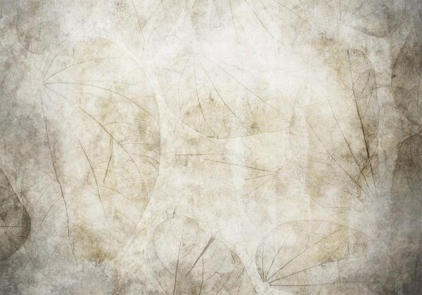 Papier peint - Beige murmurs