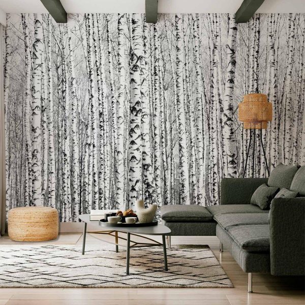 Papier peint - Birch forest Papier peint - Birch forest