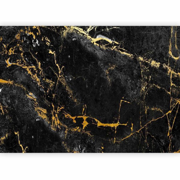 Papier peint - Black Elegance
