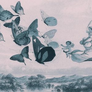 Papier peint - Butterflies and Fairy