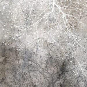 Papier peint - Clear Branching