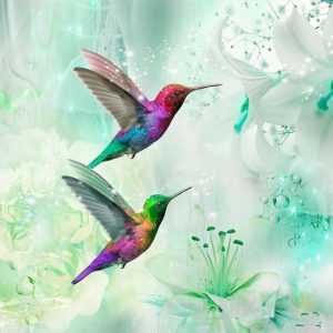 Papier peint - Colourful Hummingbirds (Green)