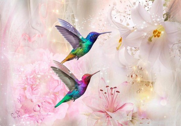 Papier peint - Colourful Hummingbirds (Pink)