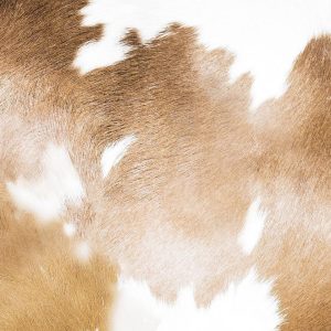 Papier peint - Cow Patches