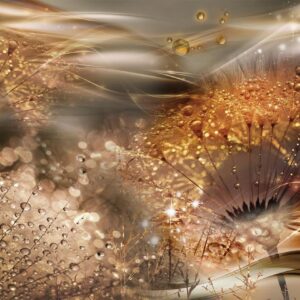 Papier peint - Dandelions' World (Gold)