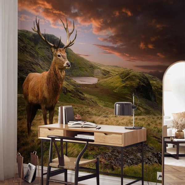 Papier peint - Deer on Hill Papier peint - Deer on Hill