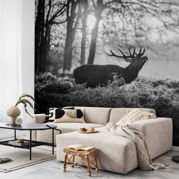 Papier peint - Deers in the Morning Papier peint - Deers in the Morning