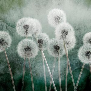 Papier peint - Down Breeze