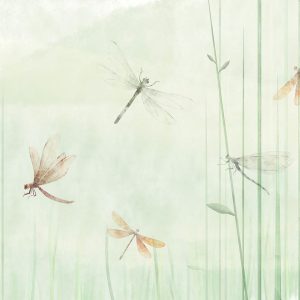 Papier peint - Dragonflies in the Meadow