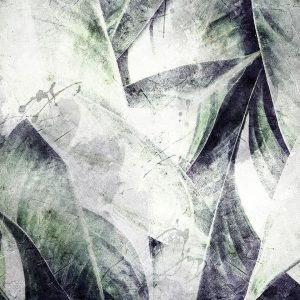 Papier peint - Eclectic jungle - plant motif with exotic leaves with texture