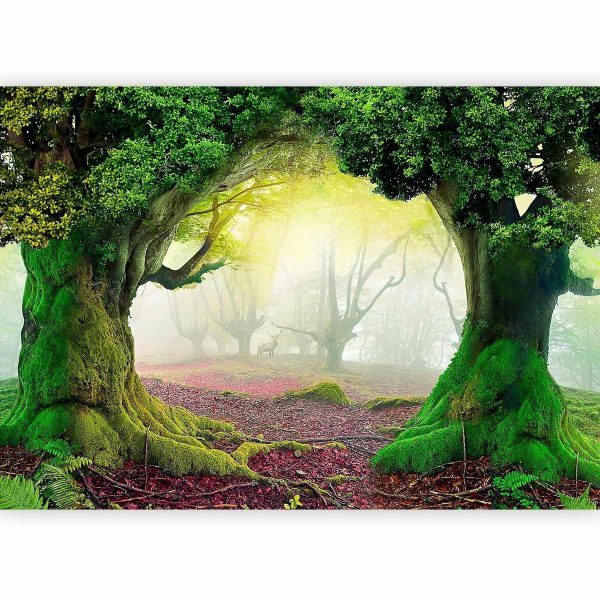 Papier peint - Enchanted forest