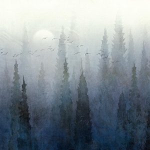 Papier peint - Flight Over the Forest - Second Variant