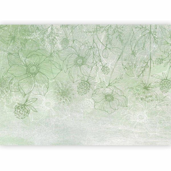 Papier peint - Flowery meadow - nature with field flowers lineart on green background