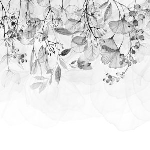 Papier peint - Foggy Nature - Grey