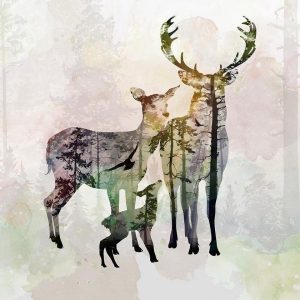 Papier peint - Forest Family