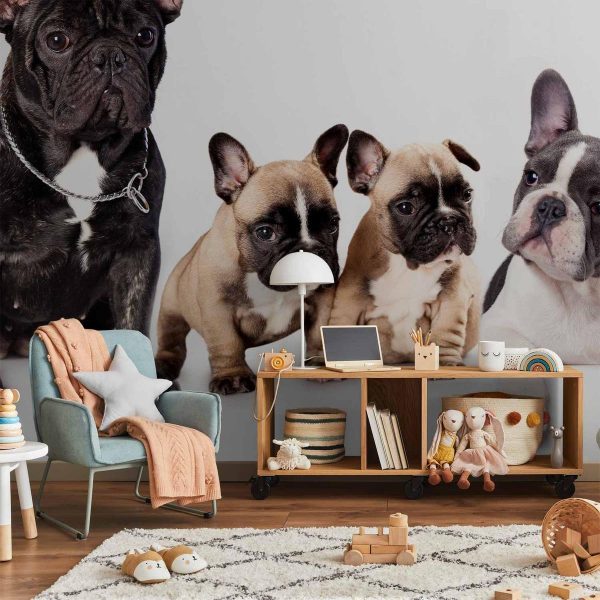 Papier peint - French Dogs Papier peint - French Dogs