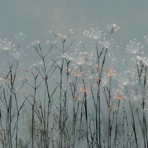 Papier peint - Garlic Flowers
