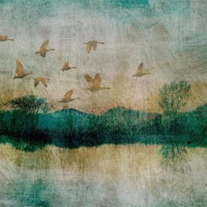 Papier peint - Golden Ducks