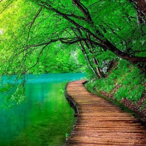 Papier peint - Green peace