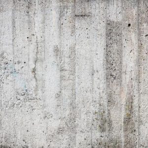 Papier peint - Grey Emperor