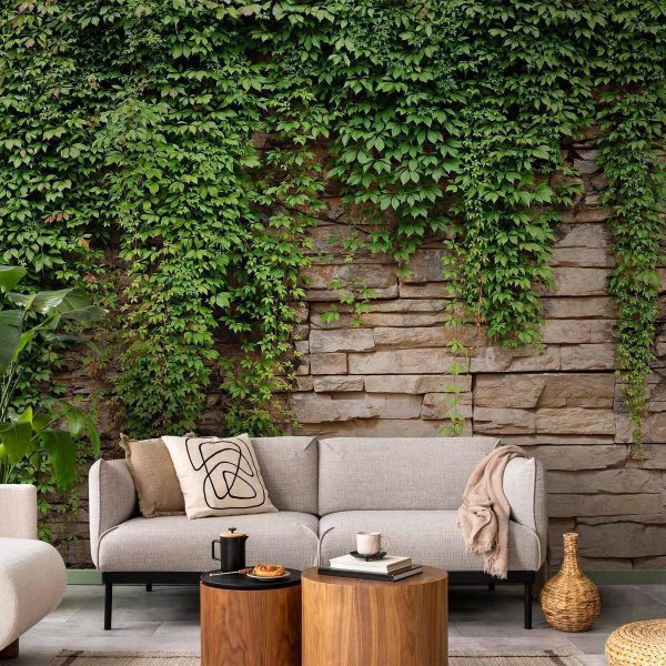 Papier peint - Ivy wall Papier peint - Ivy wall