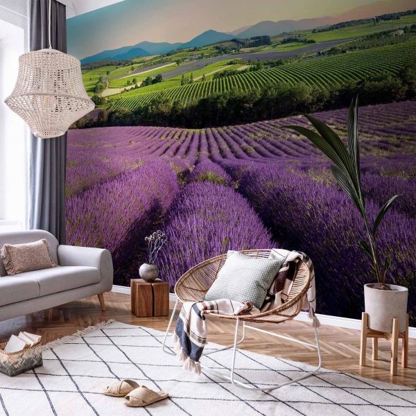 Papier peint - Lavender Field Papier peint - Lavender Field