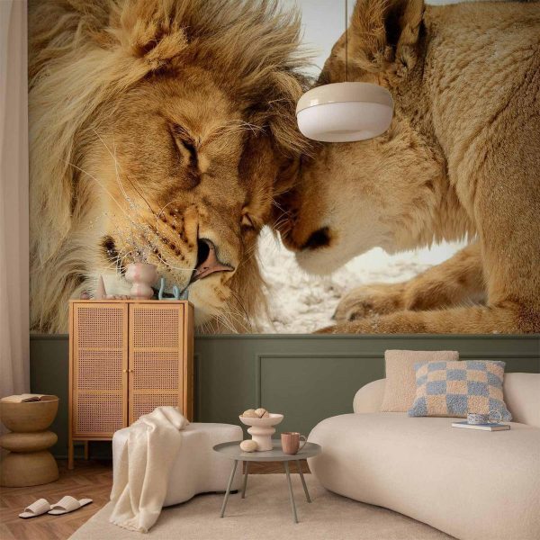 Papier peint - Lion Tenderness Papier peint - Lion Tenderness