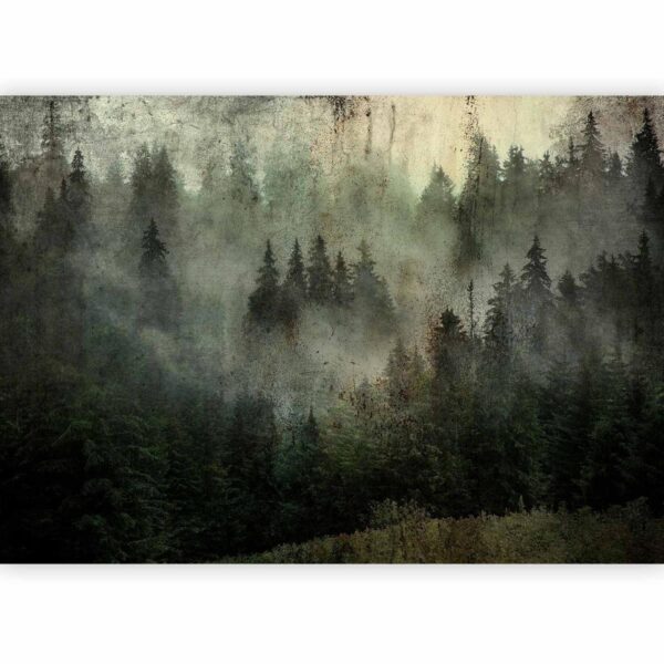Papier peint - Misty Beauty of the Forest