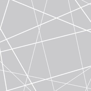 Papier peint - Modern Cobweb