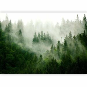 Papier peint - Mountain Forest (Green)