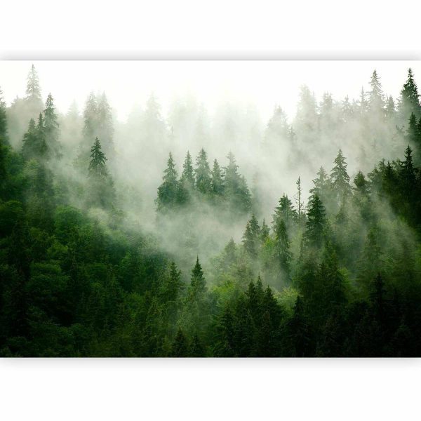 Papier peint - Mountain Forest (Green)