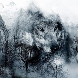 Papier peint - Mountain Predator (Black and White)