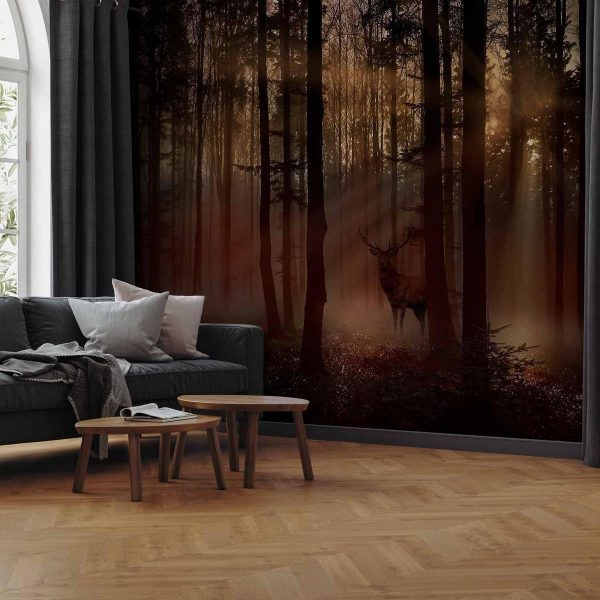 Papier peint - Mystical Forest - First Variant Papier peint - Mystical Forest - First Variant