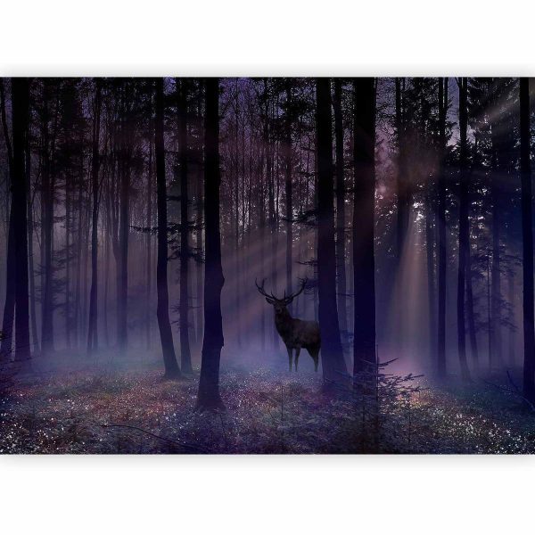 Papier peint - Mystical Forest - Second Variant
