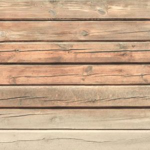 Papier peint - Old Pine