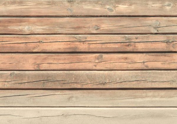 Papier peint - Old Pine