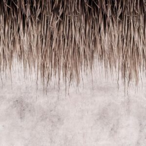Papier peint - Palm Canopy