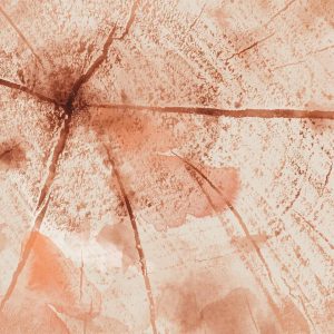Papier peint - Pink Trunk