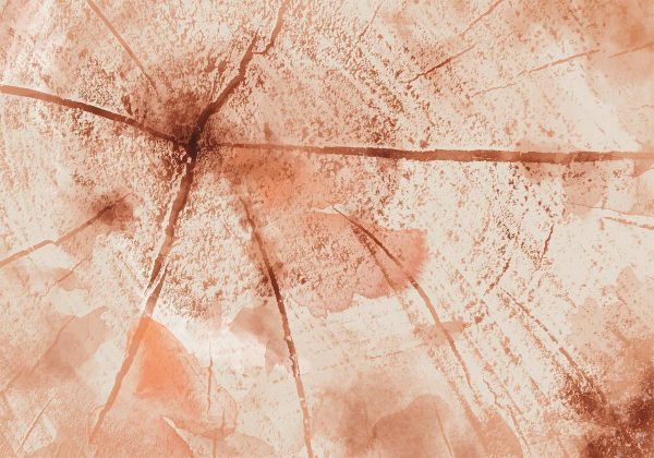 Papier peint - Pink Trunk