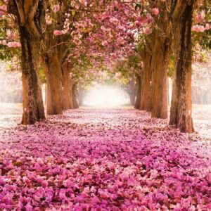 Papier peint - Pink grove