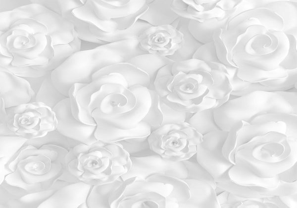 Papier peint - Plaster Flowers