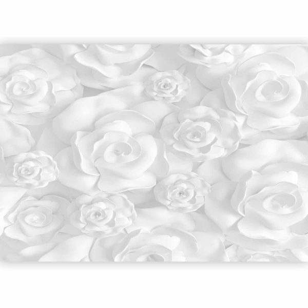 Papier peint - Plaster Flowers